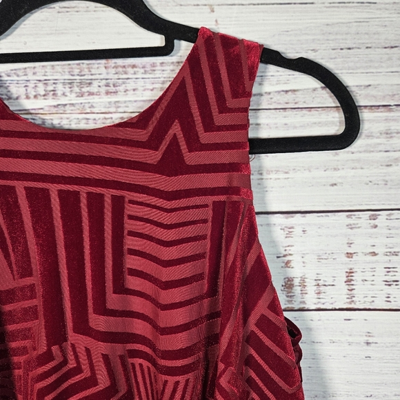 NWT Anthro Sunday in Brooklyn velvet swing tank top - Picture 4 of 14